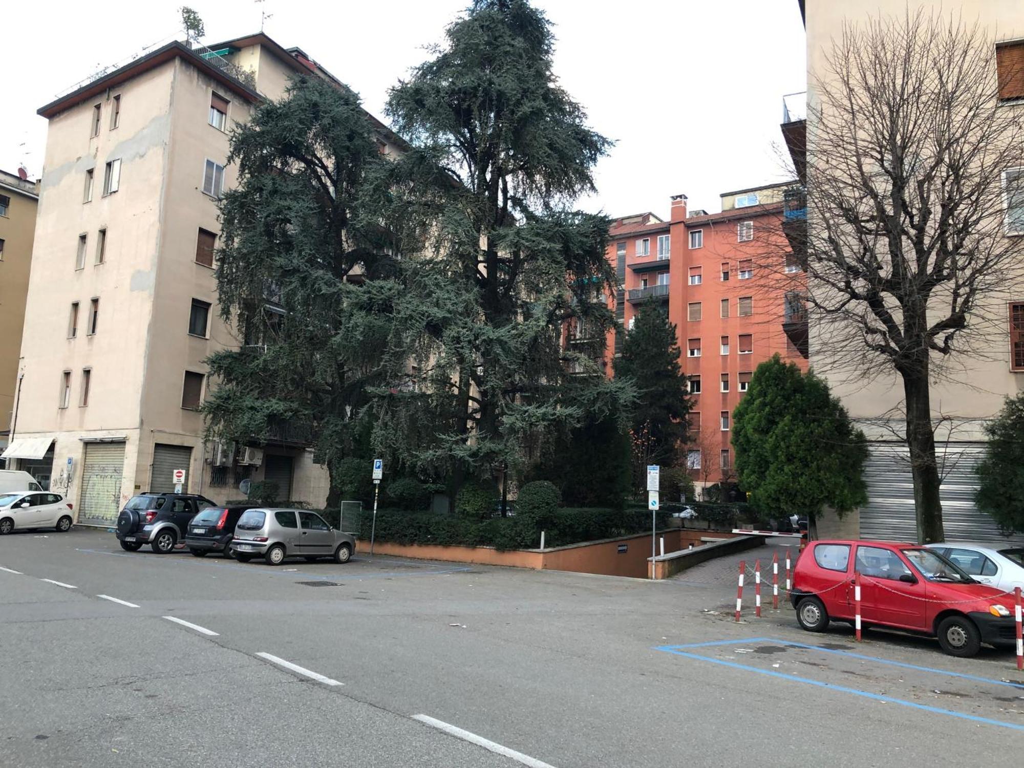 Tra Le Torri B&B - Ampia Stanza Privata In Appartamento Con Bagno Privato Accessibile Da Corridoio ボローニャ エクステリア 写真